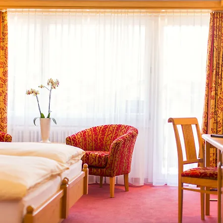 艾克塞西尔酒店 采尔马特