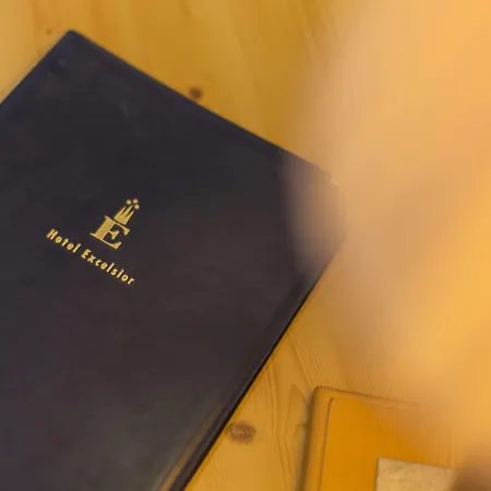 艾克塞西尔酒店 采尔马特