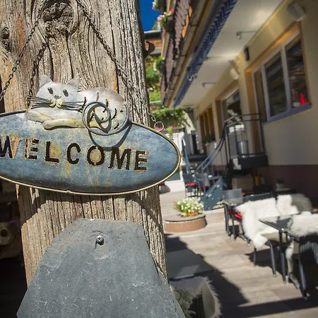 艾克塞西尔酒店 3* 采尔马特